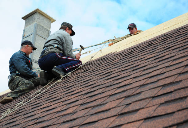 Best New Roof Installation  in Central City, IA