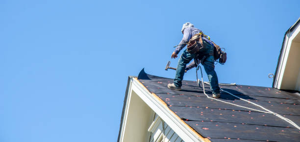 Best Metal Roofing Contractor  in Central City, IA